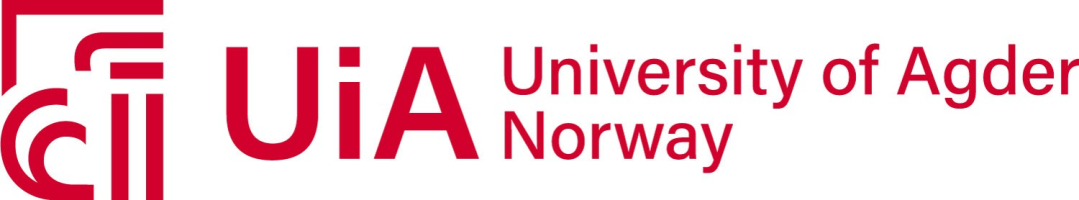 Digital Academy UiA